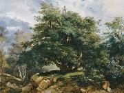 The Old Oak in the Forest of Fontainebleau Jules Coignet
